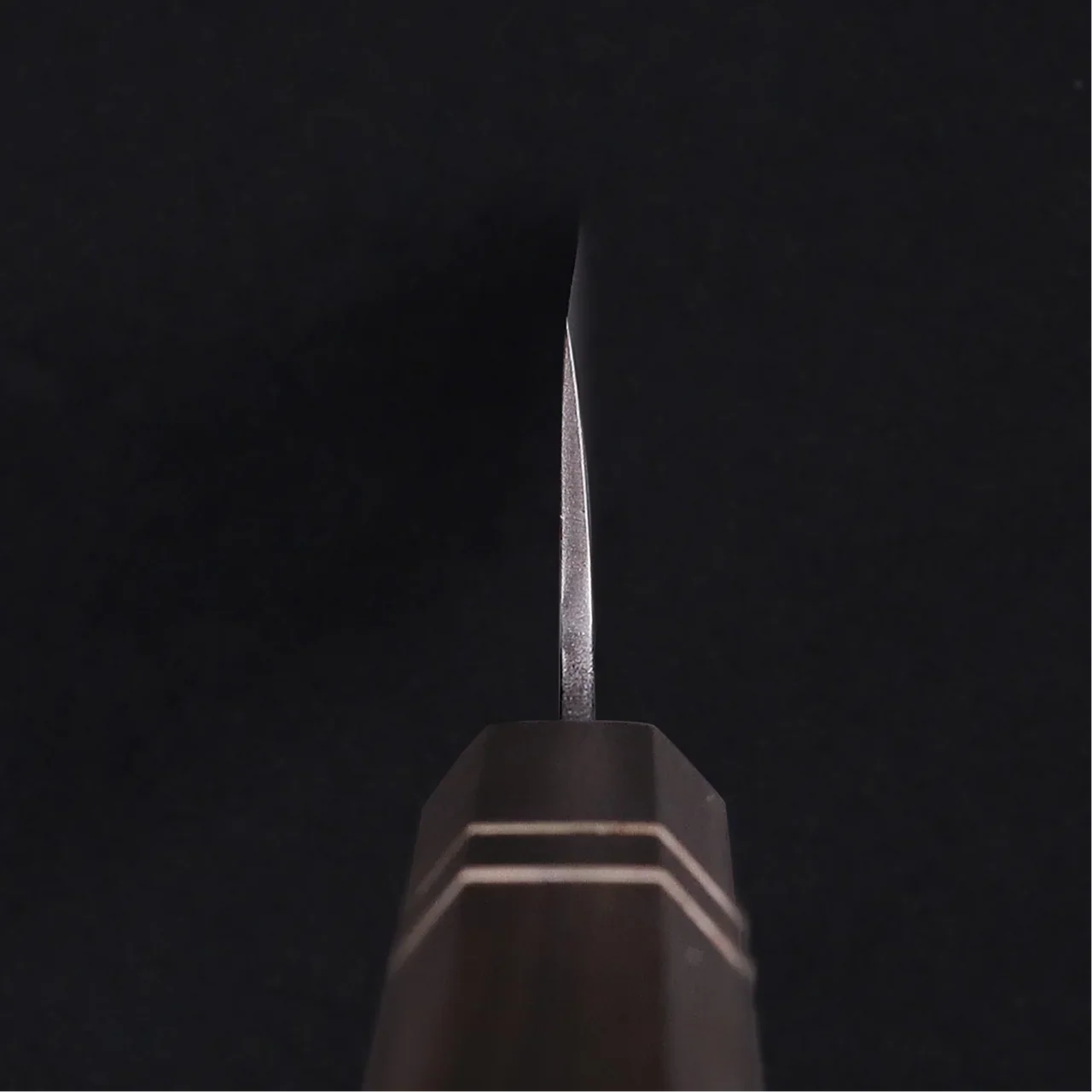 Gyuto Blue Steel Ebony Wood Handle + Whetstone - Image 5